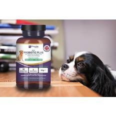 21st Century Chicken Flavoured Dog Probiotic