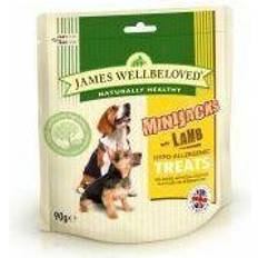 James Wellbeloved Chien Animaux de compagnie James Wellbeloved Mini Jacks Lamb 90g