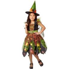 Rubies Light Up Fairy Witch Child Costume