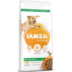 IAMS Chien Animaux de compagnie IAMS Croquettes Pour Chiens Adultes Grande Race Favorise Santé et Vitalité 12 kg - Blé