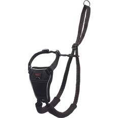 No Pull Harness S