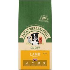 James Wellbeloved Dog Pets James Wellbeloved Lamb & Rice Puppy Food 2kg