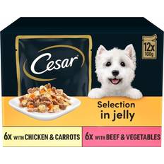 Can - Dog - Dog Food Pets Cesar Pouches Deliciously Fresh Favourites in Jelly