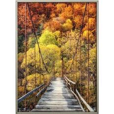 Yosemite Home Decor Woodlands Framed Photographic Printed on Tempered Glass 3220005 Framed Art