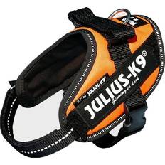 Julius-K9 Dog Collars & Leashes Pets Julius-K9 UV Orange Dog Harness, X-Small