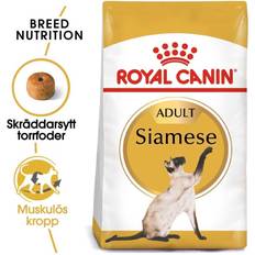 Royal Canin Kissanruoka - Koira Lemmikit Royal Canin Siamese 2 kg