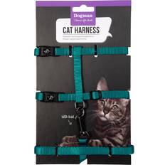 Kattsele Dogman Kattsele-set Findus Turkos