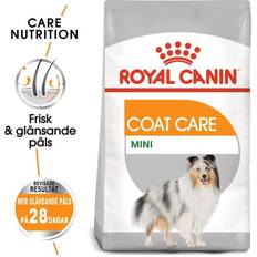 Royal Canin Pets Royal Canin Mini Coat Care Dry Dog Food 3