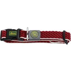 Hunter Dog Leash Training Hilo