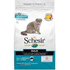 Kæledyr Schesir Adult Maintenance med fisk