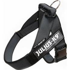 Julius-K9 Husdjur Julius-K9 C&G Sele