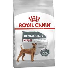 Royal canin dental dog Royal Canin Medium Dental Care Dry Dog 3kg 3kg