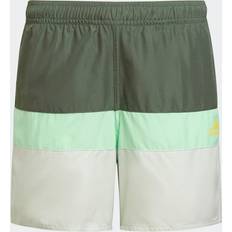 Adidas Colorblock Swim Shorts