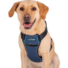 Company of Animals Collares y correas para perros Mascotas Company of Animals Carsafe Crash Tested Azul 34 cm XS