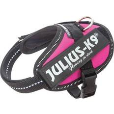 Julius k9 baby 1 Julius-K9 IDC harness size. Baby 1