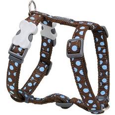 Red Dingo DH-S2-BR-SM Dog Dots on