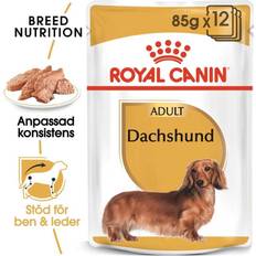 Royal Canin Dachshund Adult (in loaf) 12x 85g