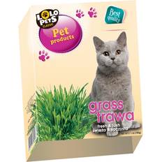 LoLo Pets Kattgräs i låda 100