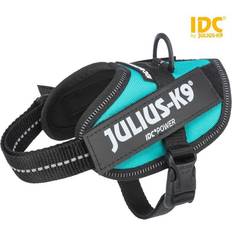 Julius-K9 IDC® Powerharness Puppy Valpsele