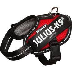 Julius idc baby 2 Julius-K9 IDC® POWAIR harness