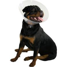 Kong Pets Kong Hundhalsband KVP Quick Fit Transparent (39-48