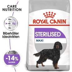 Royal Canin Hundar Husdjur Royal Canin Hundmat Sterilised Maxi 12kg