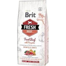 Brit hundfoder 12kg Brit Fresh Beef with Pumpkin Puppy Large 12kg