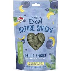 Burgess Excel Fruity Feasts 60g