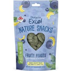 Burgess Excel Nature Snacks Fruity Feasts per Conigli e Porcellini d'India Set of 3 x 60 g