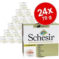 Schesir Lemmikit Schesir 1 x 70 g in Broth Kanafile