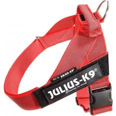 Mascotas Julius-K9 Cinta IDC Color & Gray 1 pcs