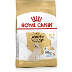 Royal Canin Mascotas Royal Canin Labrador Retriever 5+ 12kg