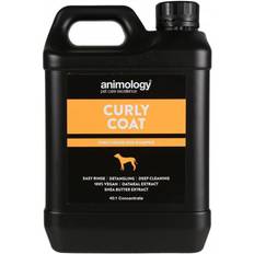 Animology Curly Coat Shampoo