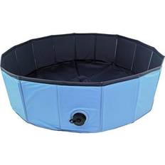 Dog pool blue