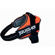 Julius-K9 IDC® POWAIR sele orange