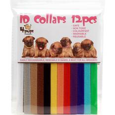 KW Kattunge- valphalsband 12-pack