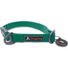 OllyDog OllyDog Tilden Collar Teal