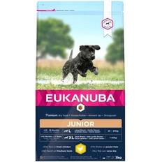 Eukanuba large junior Eukanuba Developing Junior Large Breed Chicken 3