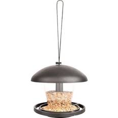 Bird Dome Roof Feeder Stylish Hanging Canopy Feeding