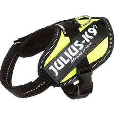 Julius k9 baby 2 Julius-K9 IDC harness size. Baby 2 UV