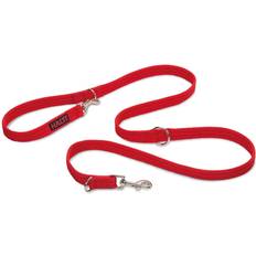 Training Dog Lead Colour