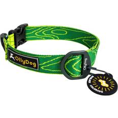 OllyDog OllyDog Rescue Collar Sage