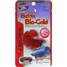 Betta Gold Kampfisk