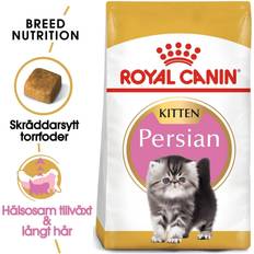 Royal Canin Kissanruoka - Koira Lemmikit Royal Canin Persian Kitten 10 kg Kissan Kuivaruoka