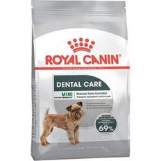 Tørfoder Royal Canin CCN Mini Dental Care tørfoder