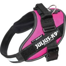 Julius-K9 Dog Collars & Leashes Pets Julius-K9 Dark Pink Dog Harness, 3X-Large