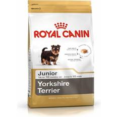 Royal canin yorkshire terrier Royal Canin Yorkshire Terrier Puppy