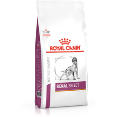 Royal canin renal dog Royal Canin Diets Renal Select Dry Dog Food 2