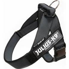 Julius k9 0 Julius-K9 C&G IDC-harness 0