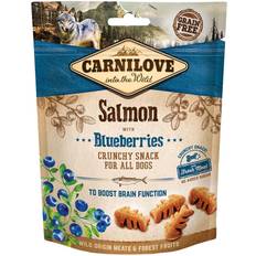 Hundefôr Husdyr Carnilove Crunchy Dog Snack 200g Salmon with Blueberries